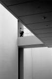 MoMA moment