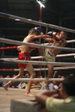 CM163 Muay Thai.jpg