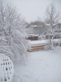 06SNO007.JPG