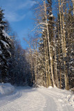 Telemark Cross Country Ski Club