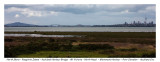 More of Auckland City and the surrounding areas