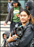 Puppy at Open Air Concert