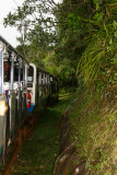 Our Watercare Train