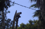 Monkey at the Zoo.jpg