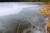 DSC_0447.jpg