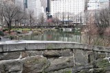 Cityscape From Central Park Bridge
