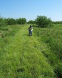 Marti on the high grass trail