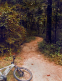 Finishing the Chinquapin Trail