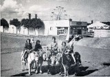 Donkey rides