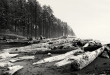 Ruby-Beach-IR-3.jpg