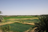 Kharga oasis