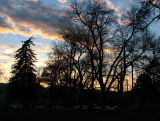 November Sunset at Caldwell Park smallfile  IMG_1737.jpg