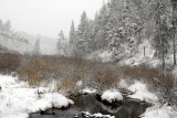 Porcupine Creek _DSC0085.jpg