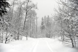 Our Driveway in Winter _DSC0015.JPG