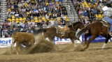 rodeo 2007 _DSC0262.jpg