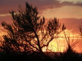Pocatello Sunset smallfile P7290080.jpg