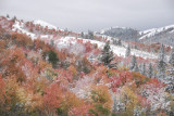 Pocatello Autumn Scene with Snow _DSC0118.jpg