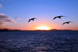 Lindeman Island - QLD, Australia