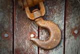 1st Place (Exhibition)CanonTF Challenge #87
at Digital Photography Review
Topic:Color on Color