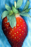 strawberry ~