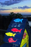 Fishy Sunset ~