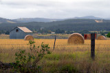 Barn and hay bales