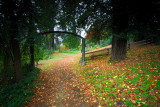 Autumn in the gardens