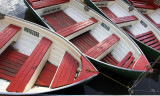 Australian digital photo of the day- 12th July 2006Cover Image atAustralian Digital Photo Of The Day Competitions