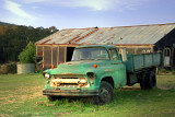 old green truck ~