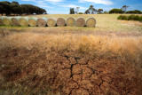 drought on the farm