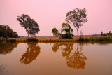 Thompson River reflections ~