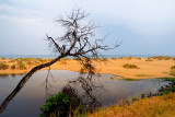 Lakes Entrance sand dunes