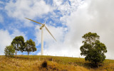 Torra Torra Windmill