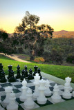 Garden chessboard  ~