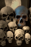Skulls ~