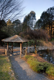 Gazebo by the pond