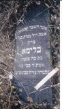 Blima daughter of Menashe & wife of Tzvi-#80