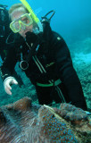  Great Barrier Reef   Australia