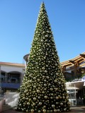 Christmas Tree in Faro, Algarve