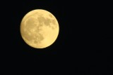Lua Cheia /|\ Full Moon