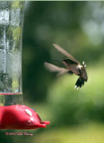 hummer 7-22