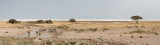 Etosha Pan.jpg