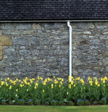 Wall at Glenfiddich