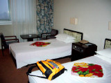 Yanggakdo International Hotel, my room 1