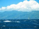 Sailing Maui