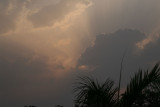 IMG_1257.jpg