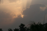 IMG_1258.jpg