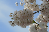 IMG_0445.png