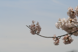 IMG_0454.png
