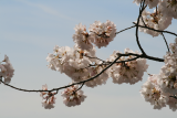 IMG_0455.png